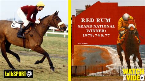 Grand National 2023 runners and riders: Betting odds and latest .